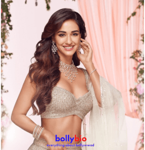 Disha Patani's Age 29, Biography, Net Worth, Career And More