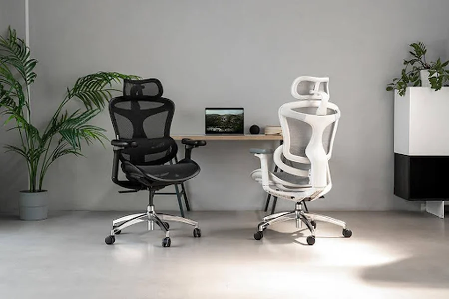 Sihoo Doro C300 Office Chair
