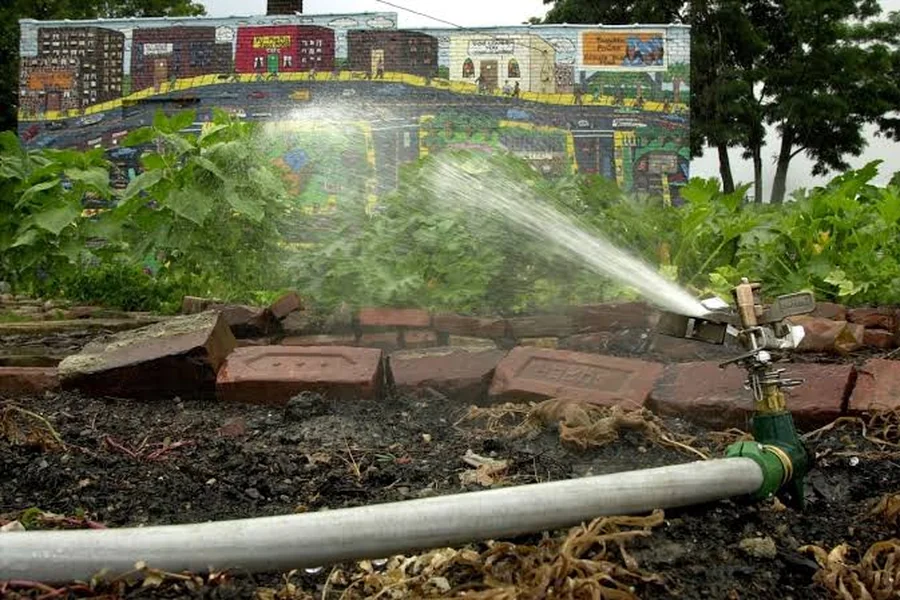 How to prepare for a drought in summer drought